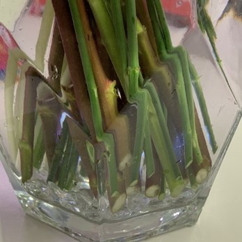 Donya's Florals - Floral Designers Near Me