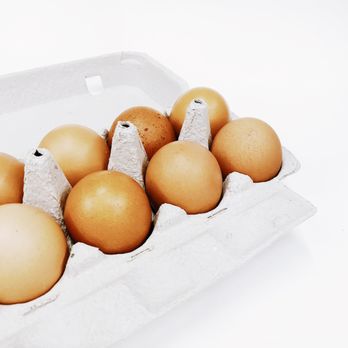 24Eggs - a carton of eggs on a white background - Farmers Market Near Me 24Eggs - a carton of eggs on a white background - Farmers Market Near Me