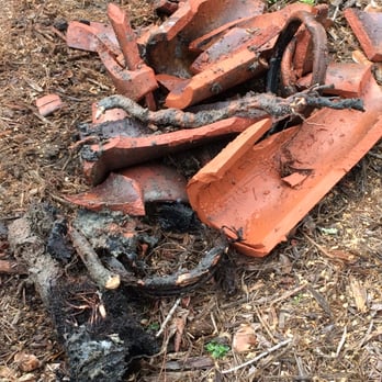 Plumbing Solutions - Fragments of the pipe and roots that were removed. - Plumbing Near Me - Concord, California Plumbing Solutions - Fragments of the pipe and roots that were removed. - Plumbing Near Me - Concord, California