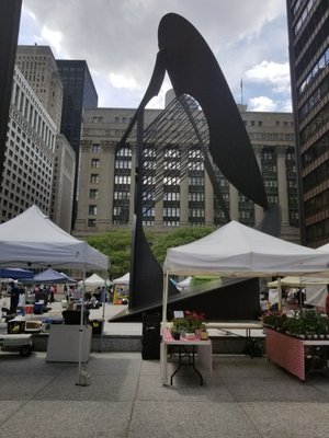 Daley Plaza by null