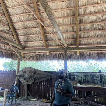 Coopertown Airboats - Gator show - Boat Tours Near Me - Miami, Florida Coopertown Airboats - Gator show - Boat Tours Near Me - Miami, Florida