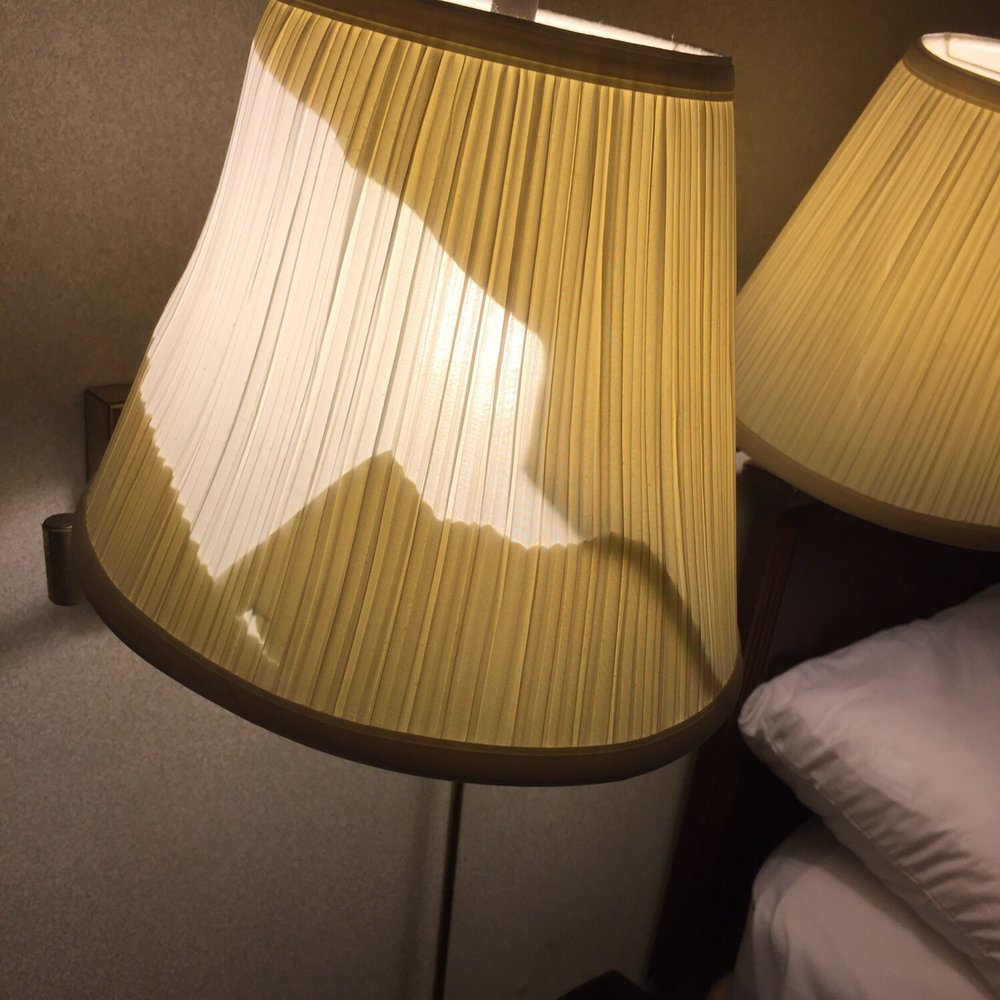 Econo Lodge - This lampshade shows the deplorable condition of the room - Hotels Near Me - Thomson, Georgia