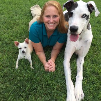 Perfect Pups - Pet Training Near Me