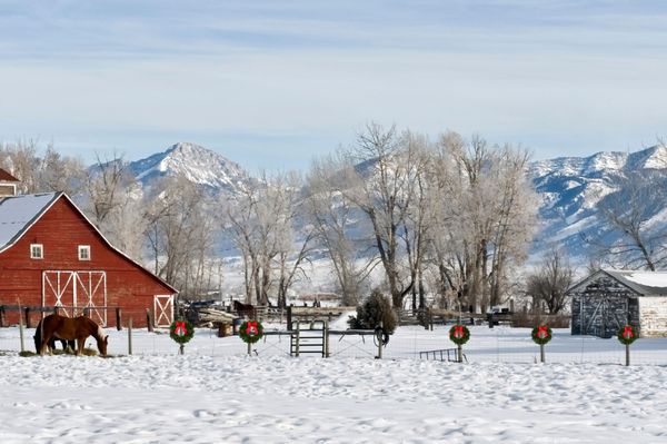 McLeod Real Estate Group