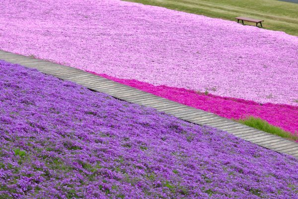 Tokyo German Village 81 Photos Amusement Parks 永吉419 袖ケ浦市 千葉県 Japan Phone Number Yelp