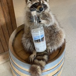 River Hill Distillery - Adorable