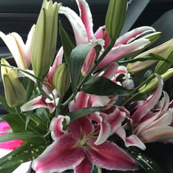 Gorgeous lillies