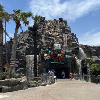 Rainforest Cafe - Entrance - American Near Me - Galveston, Texas Rainforest Cafe - Entrance - American Near Me - Galveston, Texas