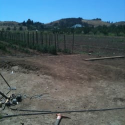 Old Rutherford Orchards