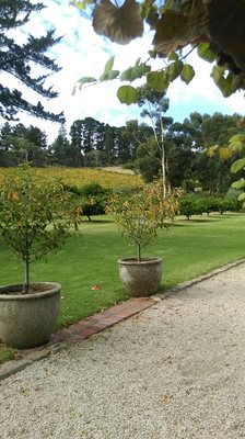 The Currant Shed Restaurant by null