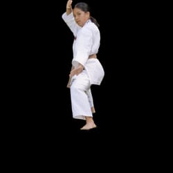 SEISHINKAN Karate on Main - Practice for Teens