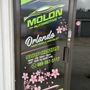 Molon Automotive