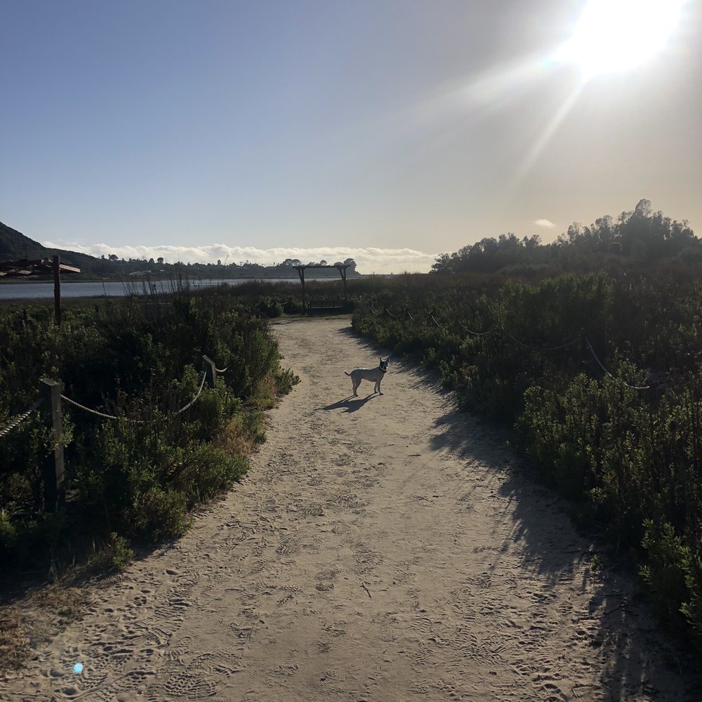 Evening walk Evening walk
