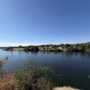 Photo of American River Parkway - Hazel Access