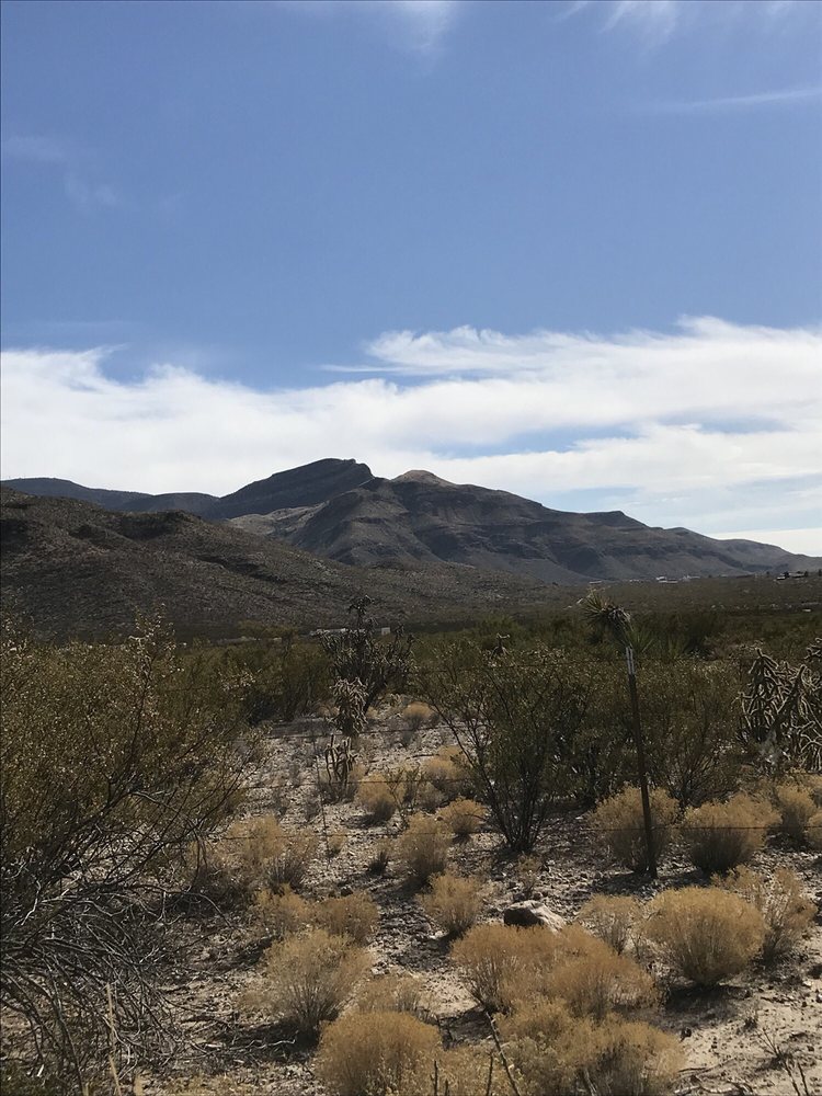 COLDWELL BANKER SUDDERTH NELSON, INC. Updated September 2024 13 Reviews 800 Scenic Dr