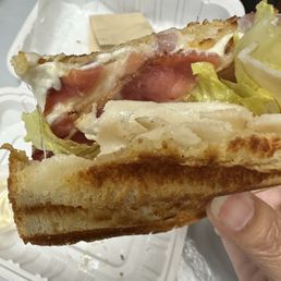 Turkey bacon panini one side (it's huge)