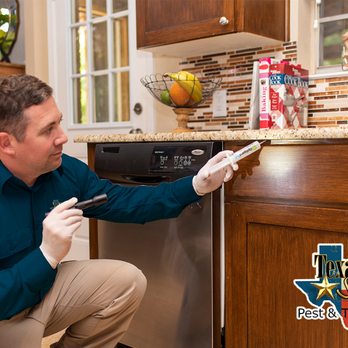 Texas Star Pest & Termite - Pest Control Near Me - Lewisville, Texas Texas Star Pest & Termite - Pest Control Near Me - Lewisville, Texas