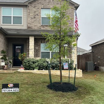 Moon Valley Nurseries - Tree planting, landscaping - A young tree is planted in the front yard of a two-story brick house, surrounded by a black mulch bed and supported by stakes. The house features brick and siding exterior, with multiple windows and an American flag on a pole near the entrance. A sign for Moon Valley Nurseries with a phone number is placed on the lawn, indicating recent planting or landscaping work. - Nurseries & Gardening Near Me - Buda, Texas