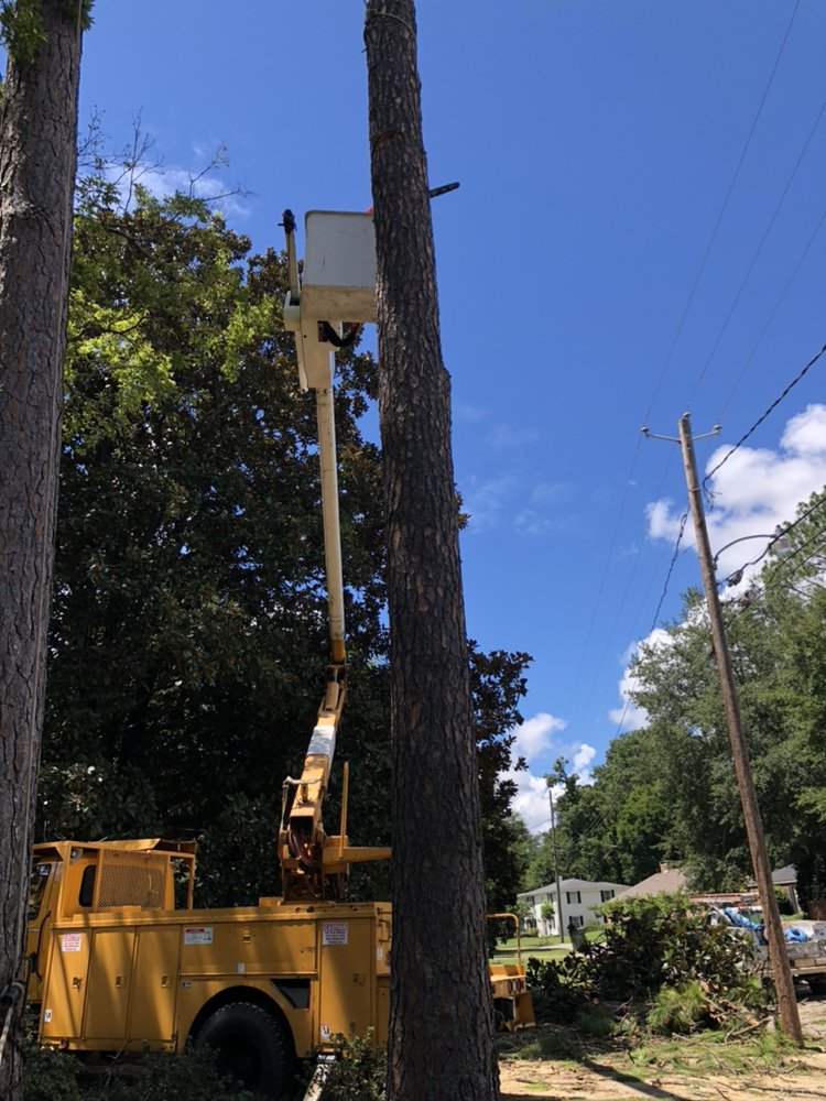 Expert Tree Service - tree service in Montgomery, AL