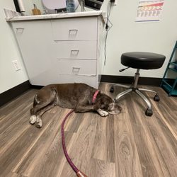 Bozeman Pet Hospital