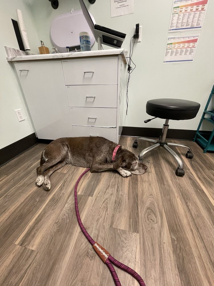 Bozeman Pet Hospital Image