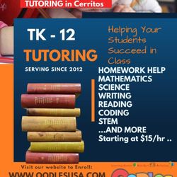 Oodles Genius Academy