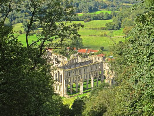 Rievaulx Abbey by null