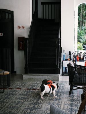 The Alkaff Mansion by null