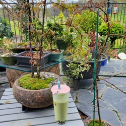 Oriental Market - Avocado smoothie with boba!