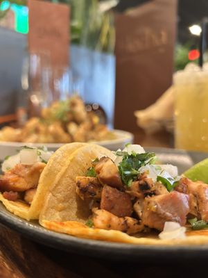Flecha Cantina by null