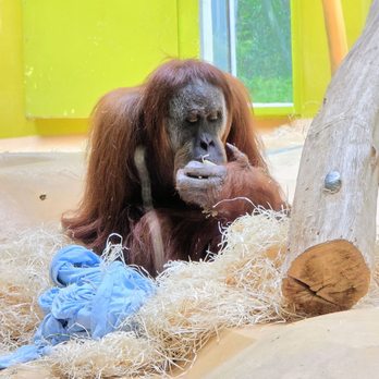 Tierpark Hellabrunn - Zoos Near Me - Munich, BY Tierpark Hellabrunn - Zoos Near Me - Munich, BY