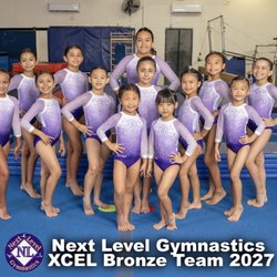 Next Level Gymnastics