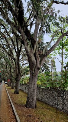 Ponce de Leon's Fountain of Youth Archaeological Park by null