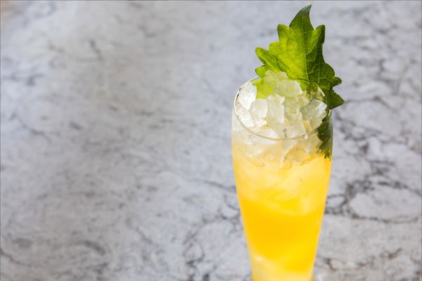 Kaiyo Cow Hollow by null