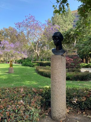 Franklin D. Murphy Sculpture Garden by null