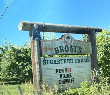 Brosi's Sugartree Farms by null