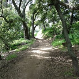 Lots of shady paths Lots of shady paths