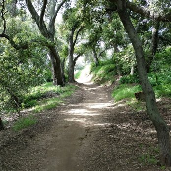 Marshall Canyon Regional Park - Lots of shady paths - Hiking Near Me - La Verne, California Marshall Canyon Regional Park - Lots of shady paths - Hiking Near Me - La Verne, California