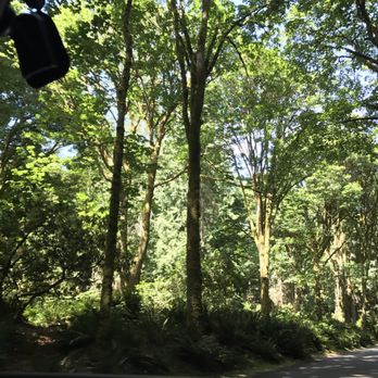 Five Mile Drive - Parks Near Me - Tacoma, Washington