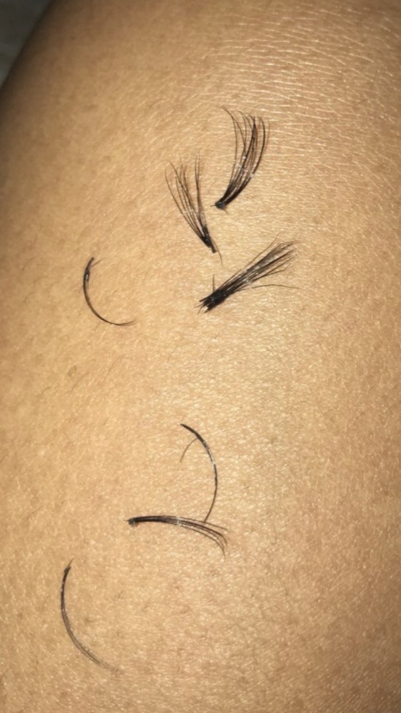 THE LASH, BROW & NAIL BAR Updated August 2024 112 Photos & 246