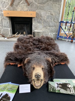 Whistler Olympic Park by null