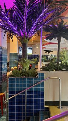 Royal Sands Social Club by null