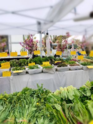 Photo of Larchmont's Down to Earth Farmers Market - Larchmont, NY, US. Lovely display