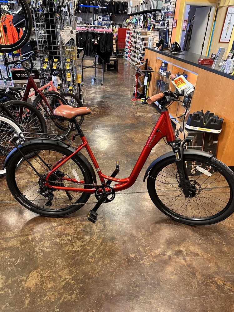 THE BIKE ROUTE Updated September 2024 50 Photos & 34 Reviews 8595