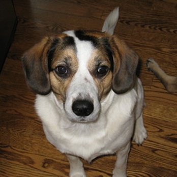 Veterinary Care Center - Veterinarians Near Me - Mercerville, New Jersey Veterinary Care Center - Veterinarians Near Me - Mercerville, New Jersey