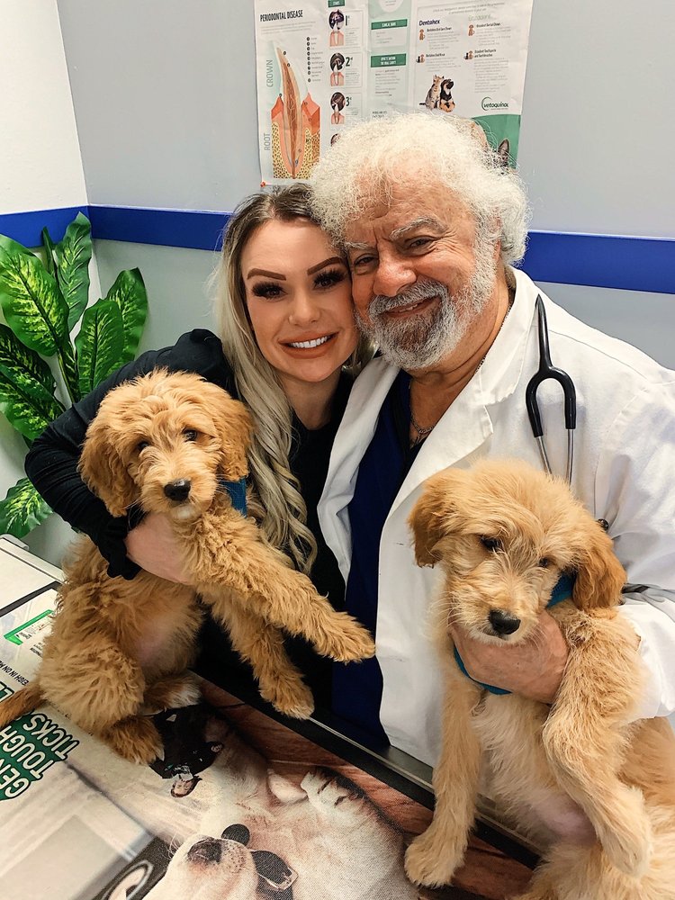 HOPE & CARE ANIMAL HOSPITAL Updated September 2024 764 N Belcher Rd, Clearwater, Florida