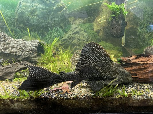 Biomes Marine Biology Center by null