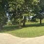 Simply Lawn Care