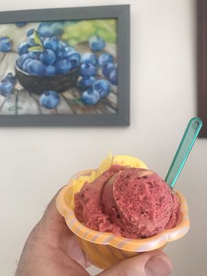 Robin's Nest by null