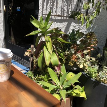 Phin Smith - Beautiful outdoor area.... It is a lovely coffee shop! - Coffee & Tea Near Me - Garden Grove, California